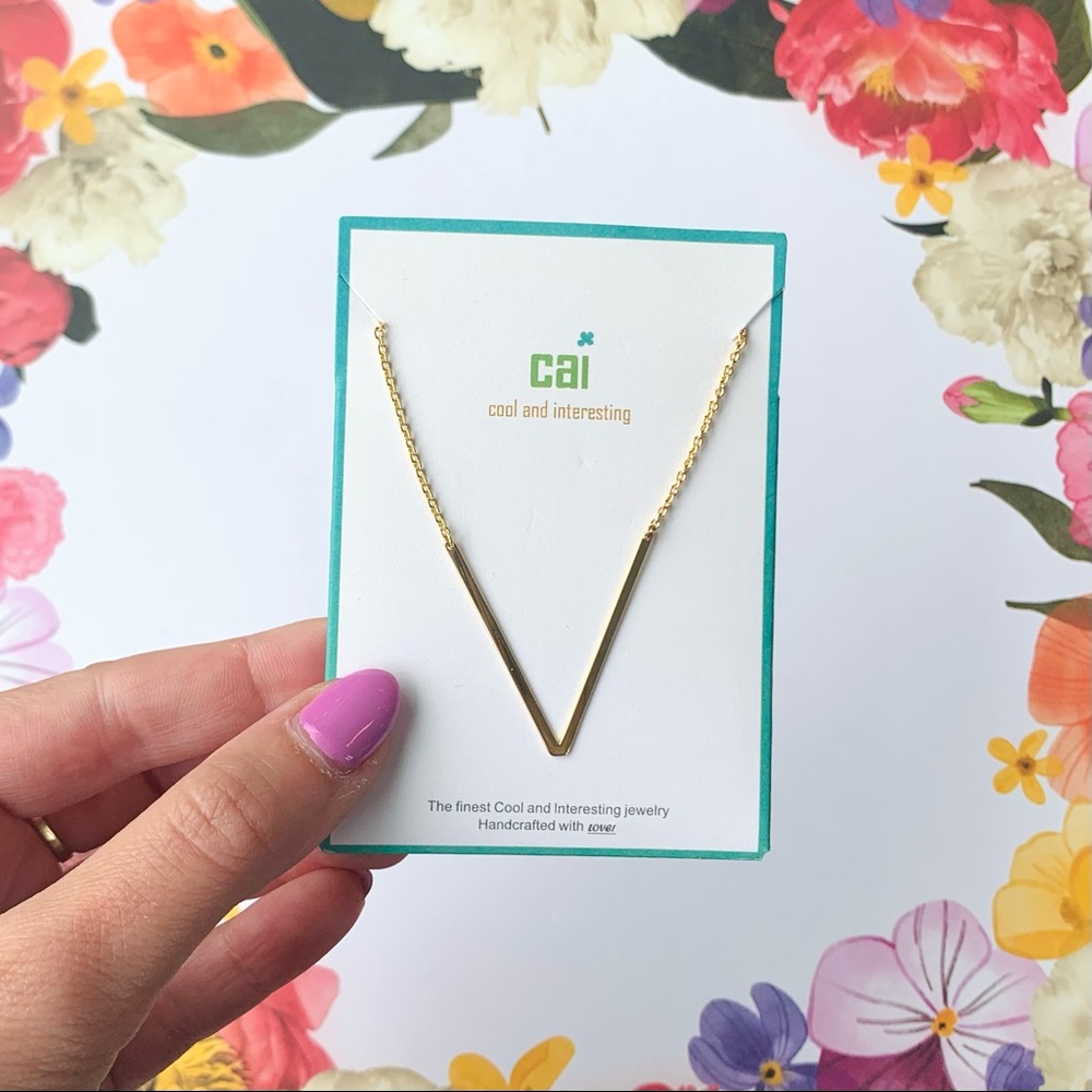 “V” Initial Necklace by Cool and Interesting (CAI)